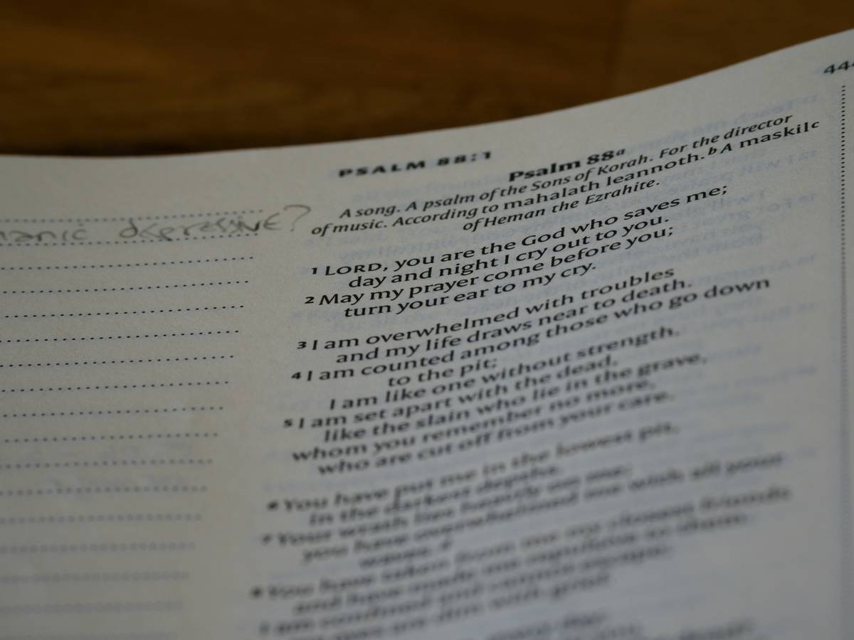 close up, bokeh, macro, blur, blurred background, close focus, bible, old testament, hebrew bible, christian, judaism, history, text, reading, bible study, devotions, text, NIV, New International Version, type, typography, canon, christianity, holy scripture, holy bible, scripture, old testament, hebrew bible, תְּהִלִּים, psalms, psalter, ketuvim, writings, tanakh, king david,