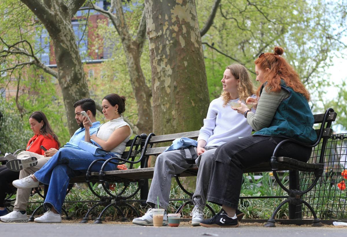People sitting on a park bench on a sunny day